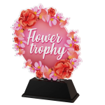 Akrylátová trofej - Hasič C2025M01