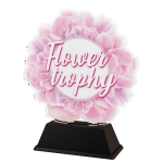 Akrylátová trofej - Hasič C2025M01