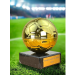 Fotbalová trofej FB0077Z