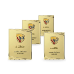 Kovový diplom s nápisem SDH