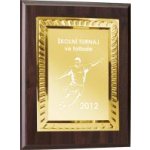 Dřevěná plaketa - hasičský vůz oldtimer 112H