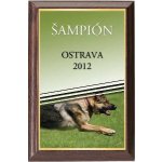 Dřevěná plaketa - hasičský vůz oldtimer 112H