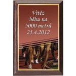 Dřevěná plaketa - hasičský vůz oldtimer 112H