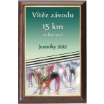 Dřevěná plaketa - hasičský vůz oldtimer 112H