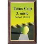 Dřevěná plaketa - hasičský vůz oldtimer 112H