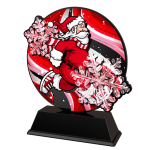 Akrylátová trofej FABM57