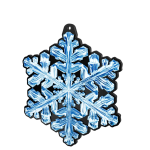 Akrylátová medaile - Květiny MDA0012