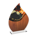 Skleněná trofej CRH20244M13