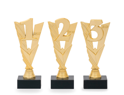 Trofej s umístěním - 27040
