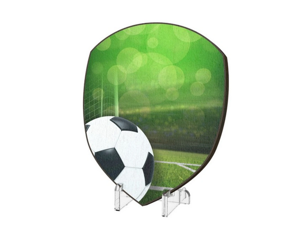 Dřevěná plaketa WPP004M06