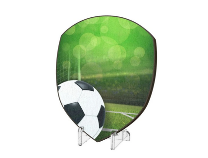 Dřevěná plaketa WPP004M06