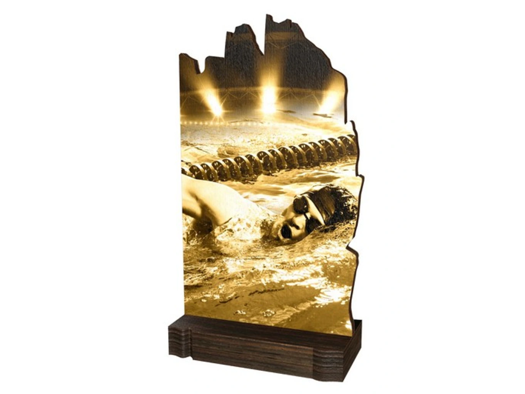 Dřevěná plaketa WPLAR02M11