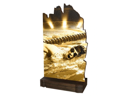 Dřevěná plaketa WPLAR02M11