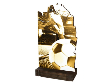 Dřevěná plaketa WPLAR02M01