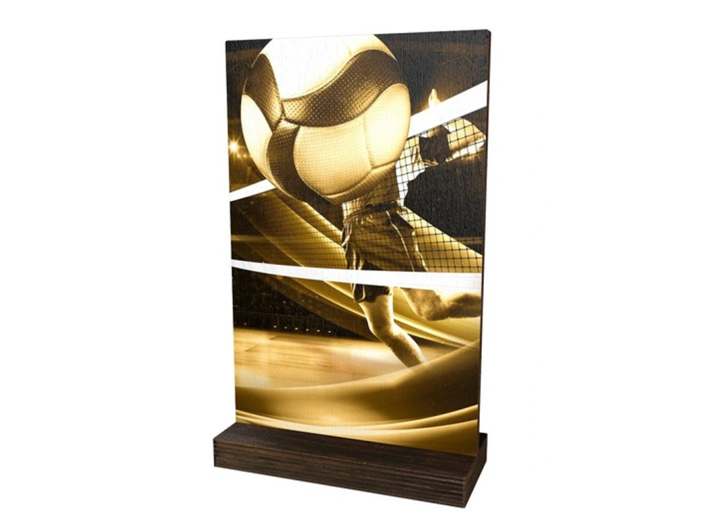 Dřevěná plaketa WPLAR01M15