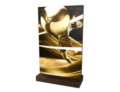 Dřevěná plaketa WPLAR01M15