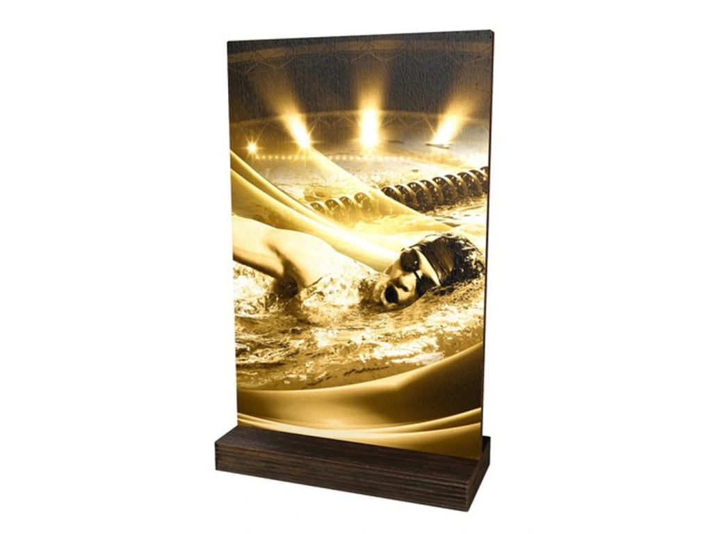 Dřevěná plaketa WPLAR01M11