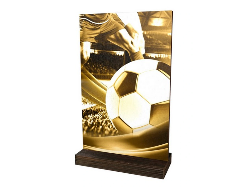 Dřevěná plaketa WPLAR01M01