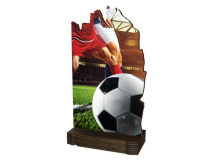 Dřevěná plaketa WPLA02M01