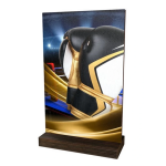 Dřevěná plaketa WPLA01M14