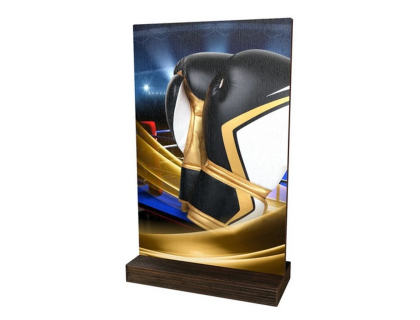 Dřevěná plaketa WPLA01M14