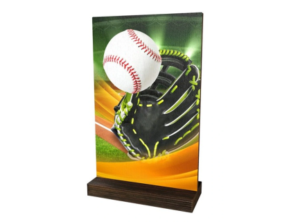 Dřevěná plaketa WPLA01M10