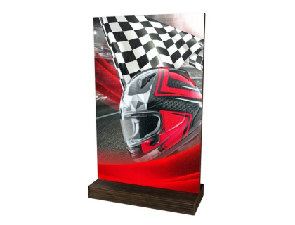 Dřevěná trofej WPLA01M08