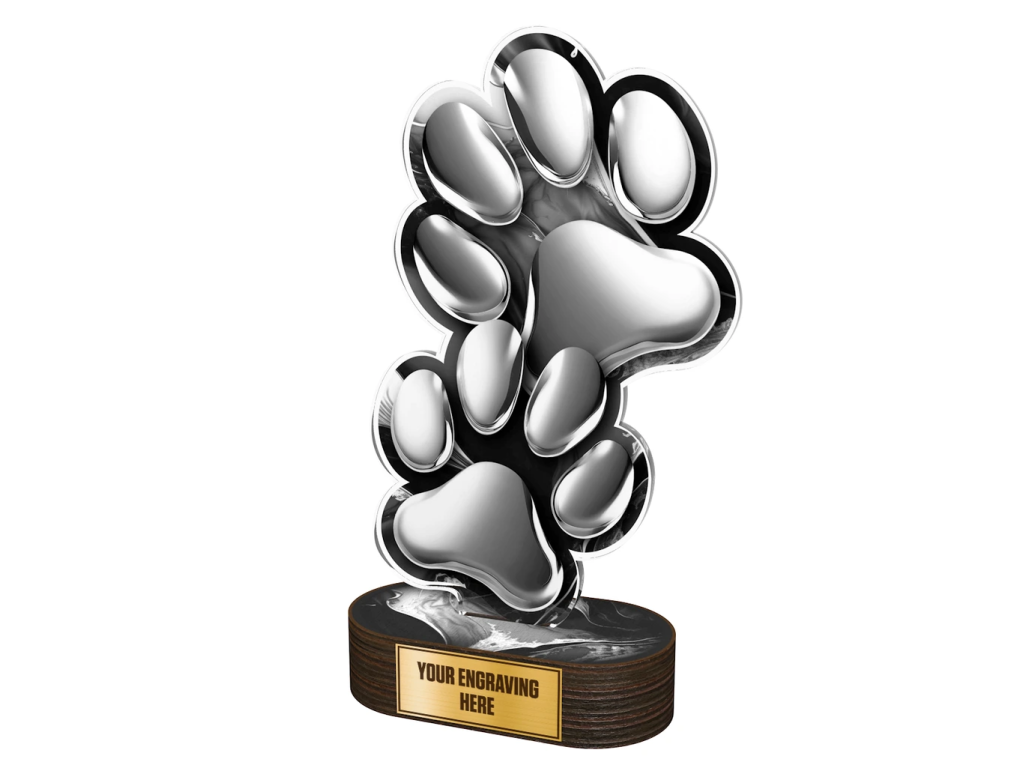 Akrylátová trofej TLR2023277