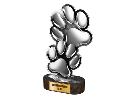 Akrylátová trofej TLR2023277