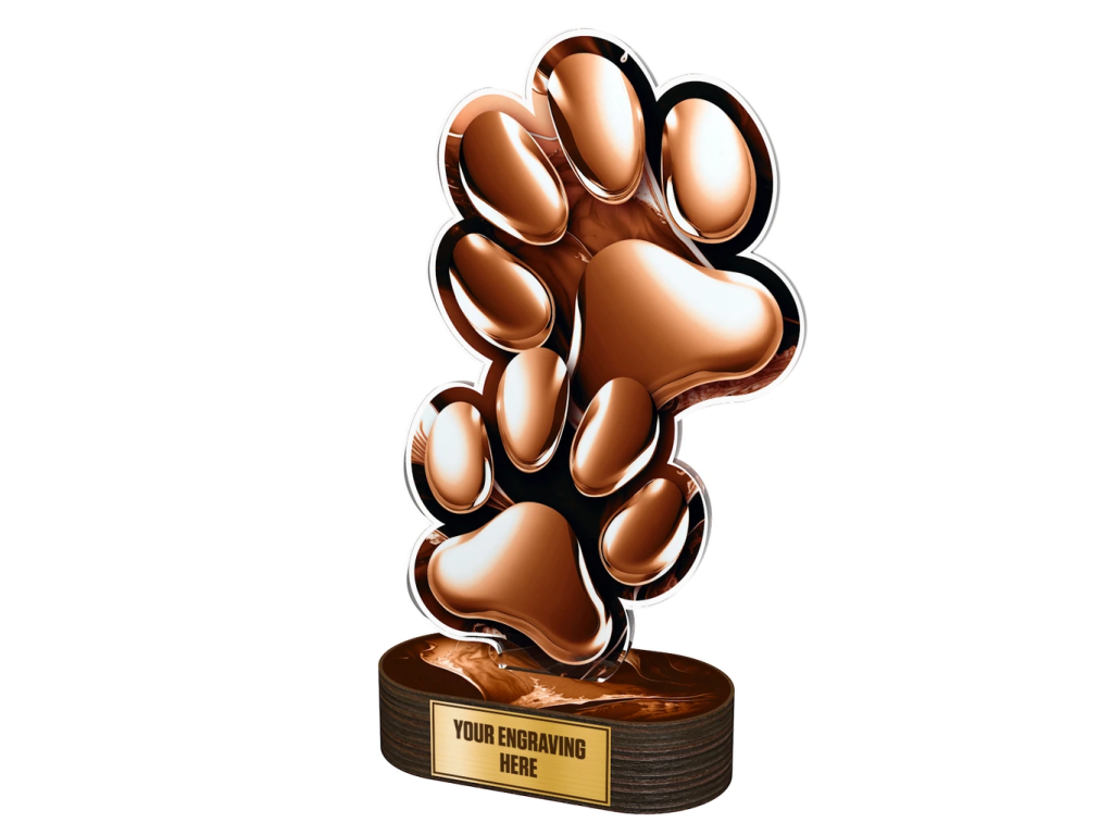 Akrylátová trofej TLR2023278