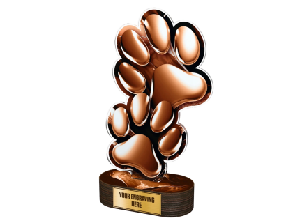 Akrylátová trofej TLR2023278