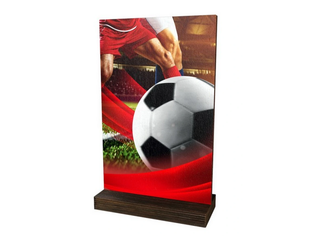 Dřevěná plaketa WPLA01M01