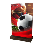 Dřevěná plaketa WPLA01M01