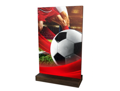 Dřevěná plaketa WPLA01M01