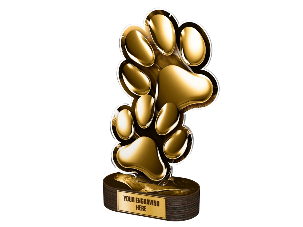 Akrylátová trofej TLR2023276