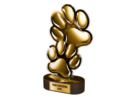 Akrylátová trofej TLR2023276