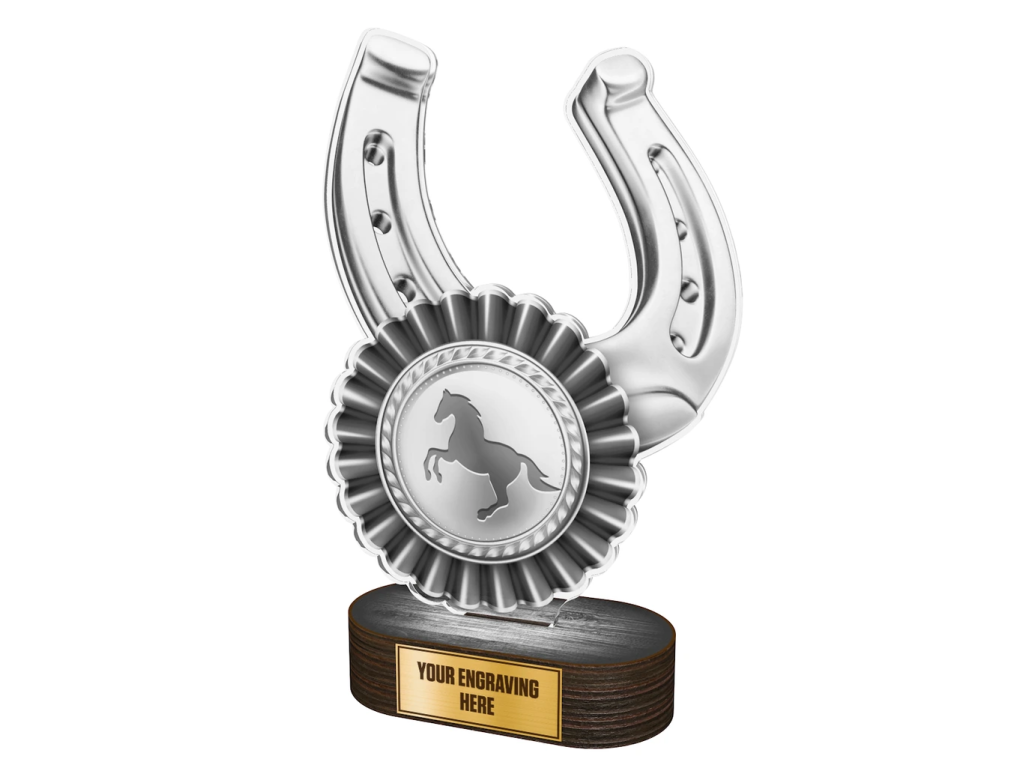 Akrylátová trofej TLR2023271