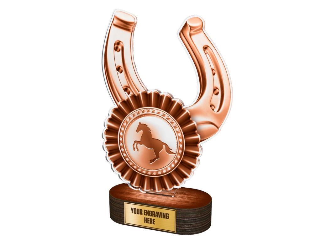 Akrylátová trofej TLR2023272