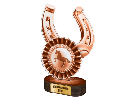 Akrylátová trofej TLR2023272