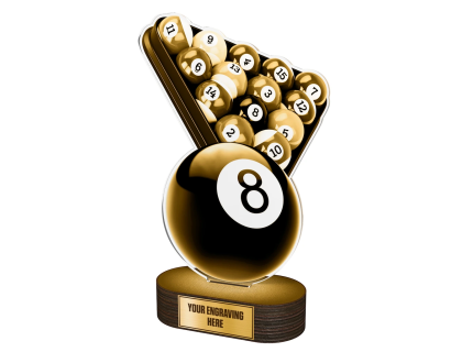 Akrylátová trofej TLR2023264