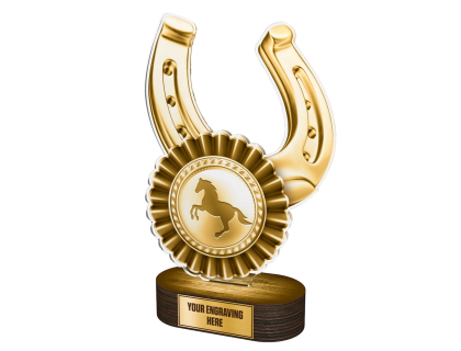Akrylátová trofej TLR2023270