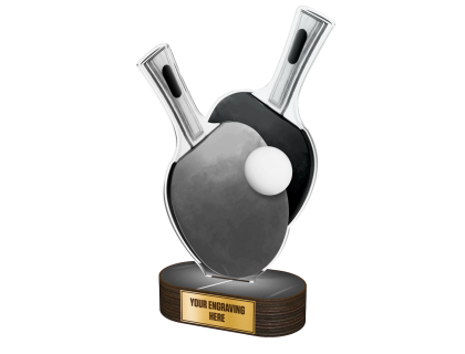 Akrylátová trofej TLR2023244