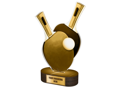 Akrylátová trofej TLR2023243