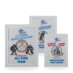 Kovový diplom - 28061