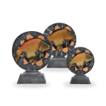 Trofej Kapr - 26060