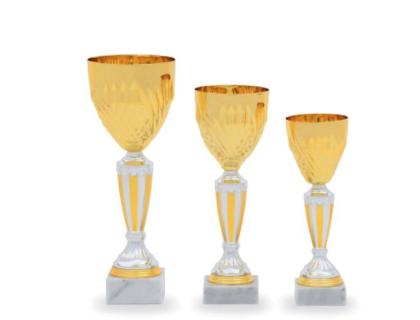Trofej - 24018