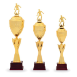 Pohár - fotbal - 22603