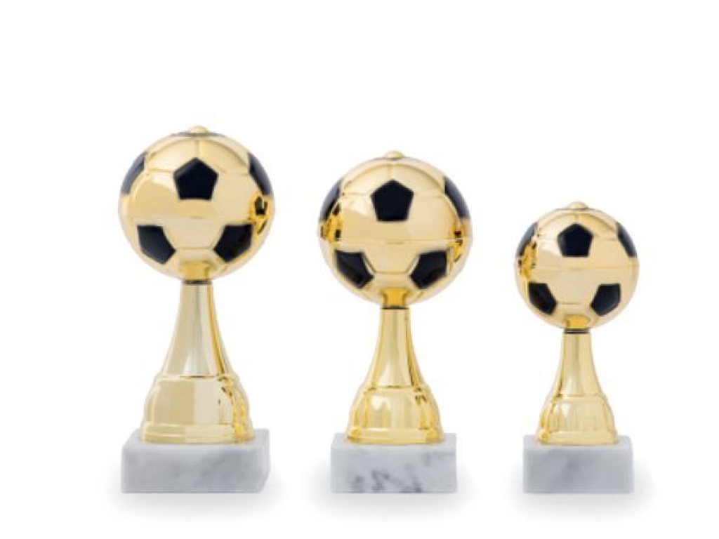 pohár fotbal - 22507