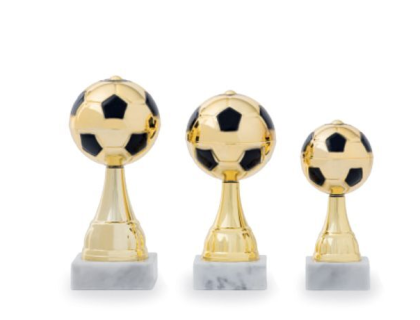 pohár fotbal - 22507