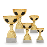 pohár fotbal - 22507